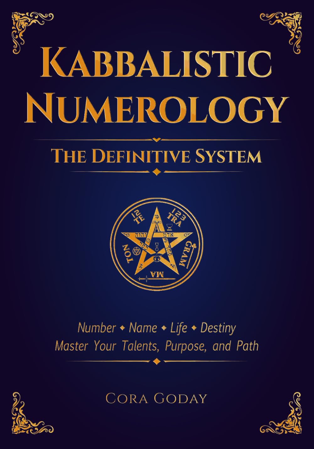 definitive system book cover